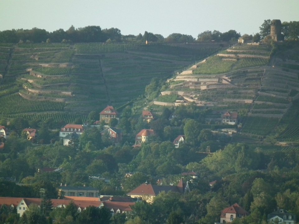 2019-09-14 Dresden Blick von der Briesnitzer Kirche 55