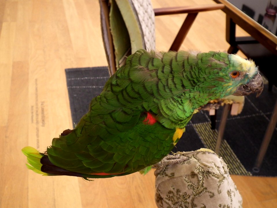 2019-08-09 Leipzig Museum der bildenden Künste 08