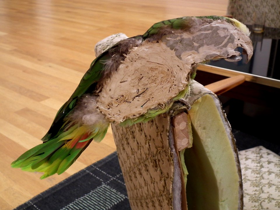 2019-08-09 Leipzig Museum der bildenden Künste 07