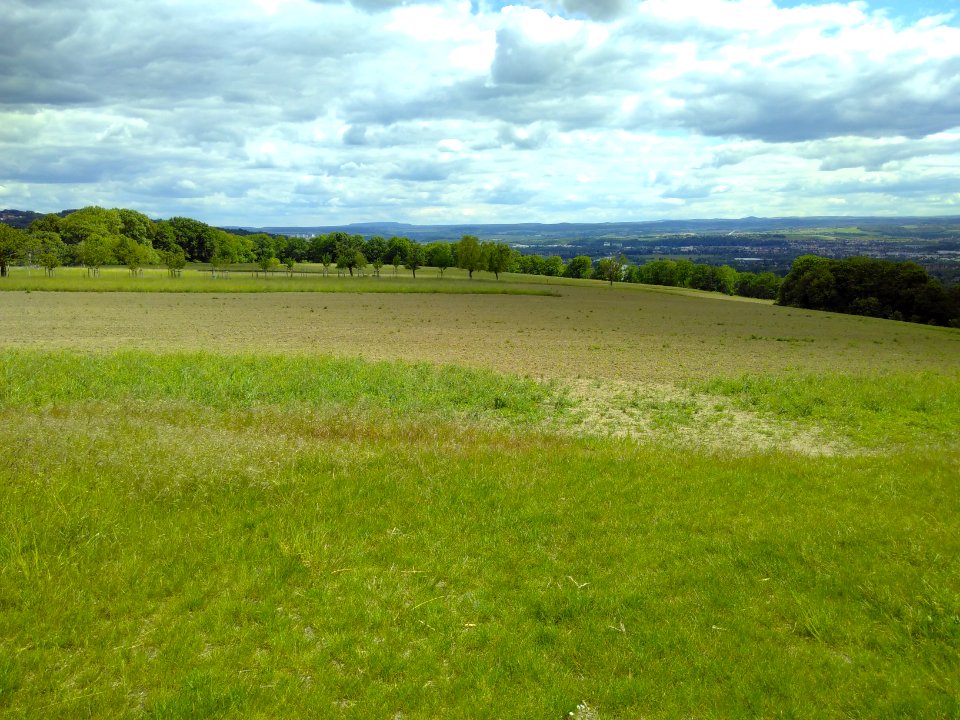 2020-05-30 Blick vom Sachsens Hiefel, Dresden 43