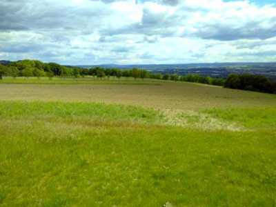 2020-05-30 Blick vom Sachsens Hiefel, Dresden 43
