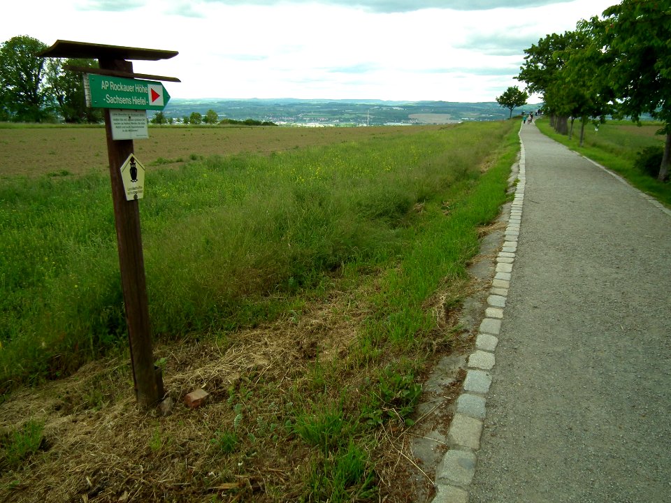 2020-05-30 Weg zum Sachsens Hiefel, Dresden