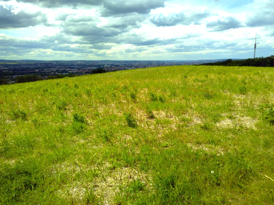 2020-05-30 Blick vom Sachsens Hiefel, Dresden 46