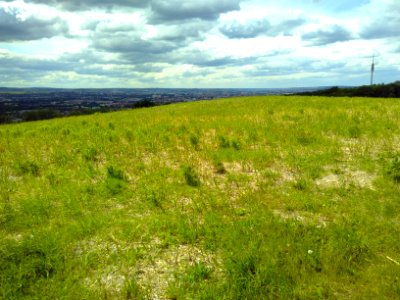 2020-05-30 Blick vom Sachsens Hiefel, Dresden 46