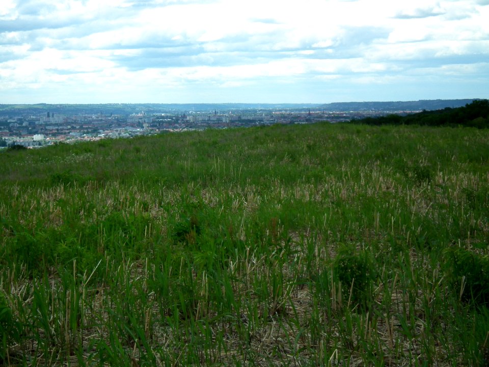 2020-05-30 Blick vom Sachsens Hiefel, Dresden 35