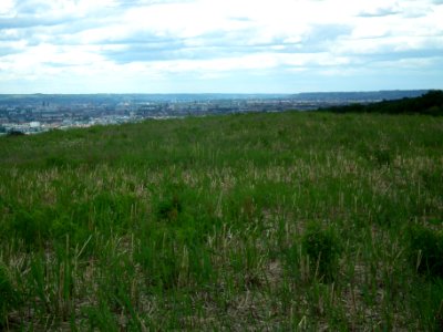 2020-05-30 Blick vom Sachsens Hiefel, Dresden 35