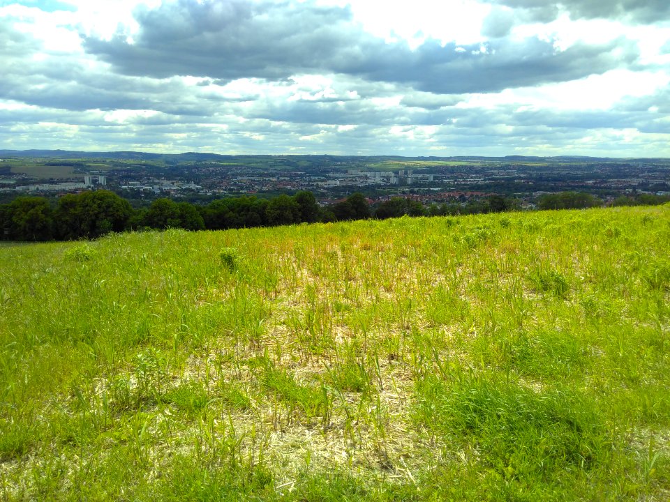 2020-05-30 Blick vom Sachsens Hiefel, Dresden 45