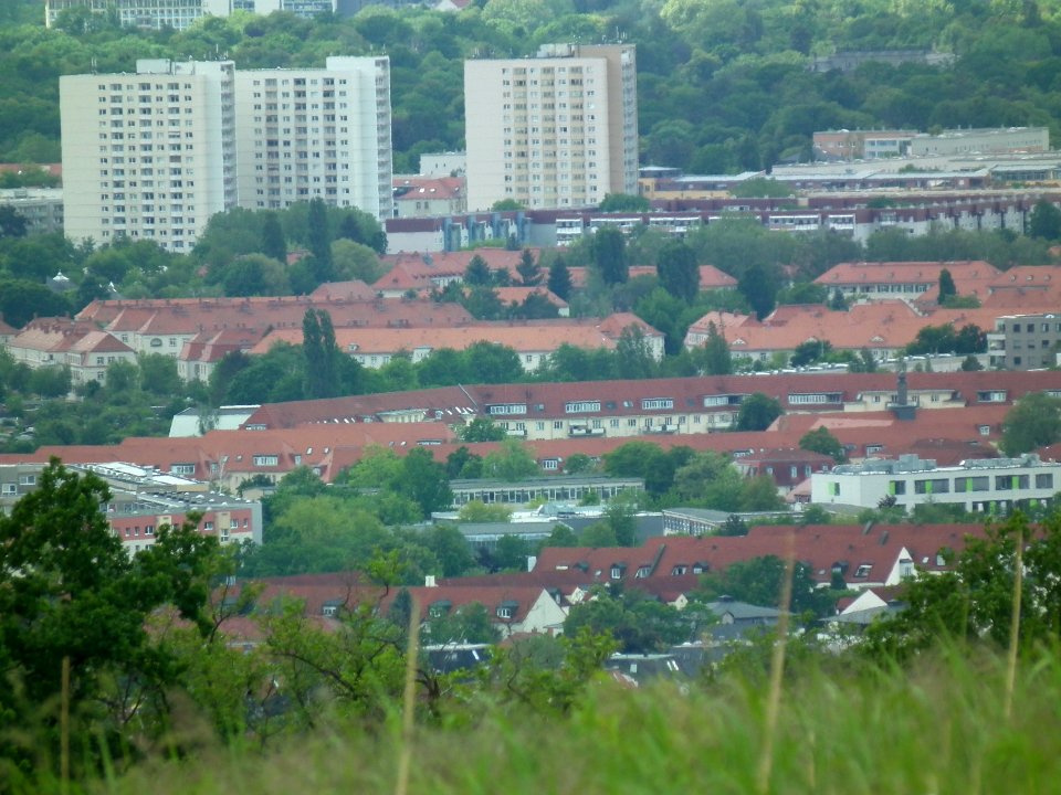 2020-05-30 Blick vom Sachsens Hiefel, Dresden 01