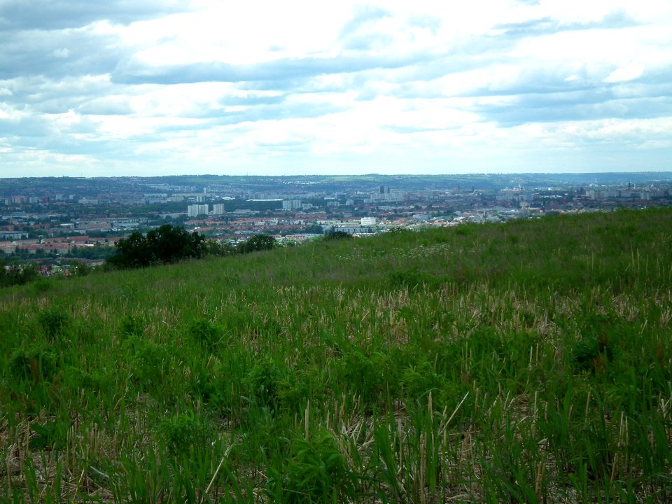 2020-05-30 Blick vom Sachsens Hiefel, Dresden 34
