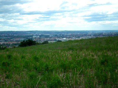 2020-05-30 Blick vom Sachsens Hiefel, Dresden 34