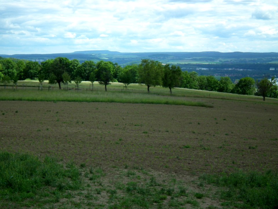 2020-05-30 Blick vom Sachsens Hiefel, Dresden 25