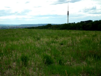 2020-05-30 Blick vom Sachsens Hiefel, Dresden 36
