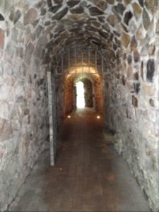20190622 Senftenberg 023