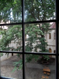 20190622 Senftenberg 045