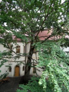 20190622 Senftenberg 051