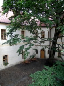 20190622 Senftenberg 136