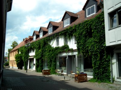 20190622 Senftenberg 067