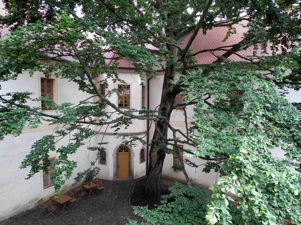 20190622 Senftenberg 050