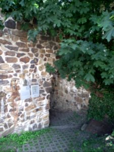 20190622 Senftenberg 024