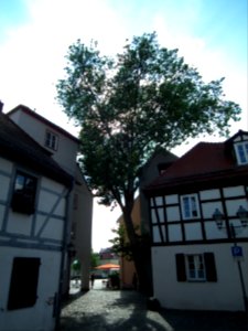 20190622 Senftenberg 118