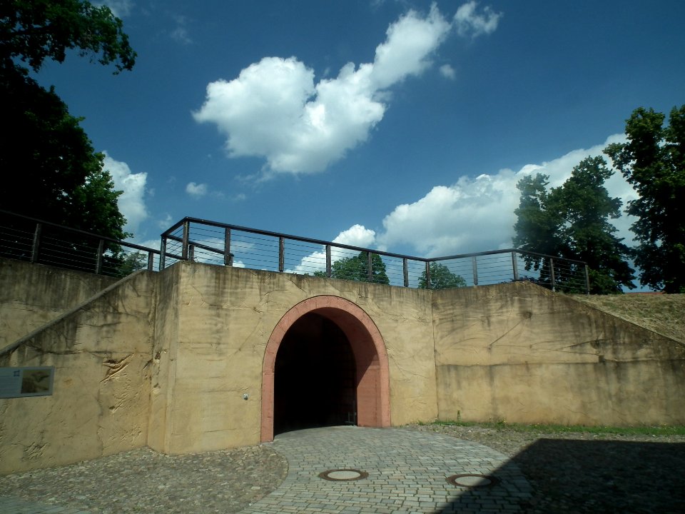 20190622 Senftenberg 013