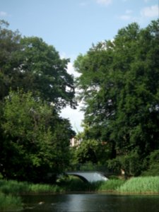 20190622 Senftenberg 082