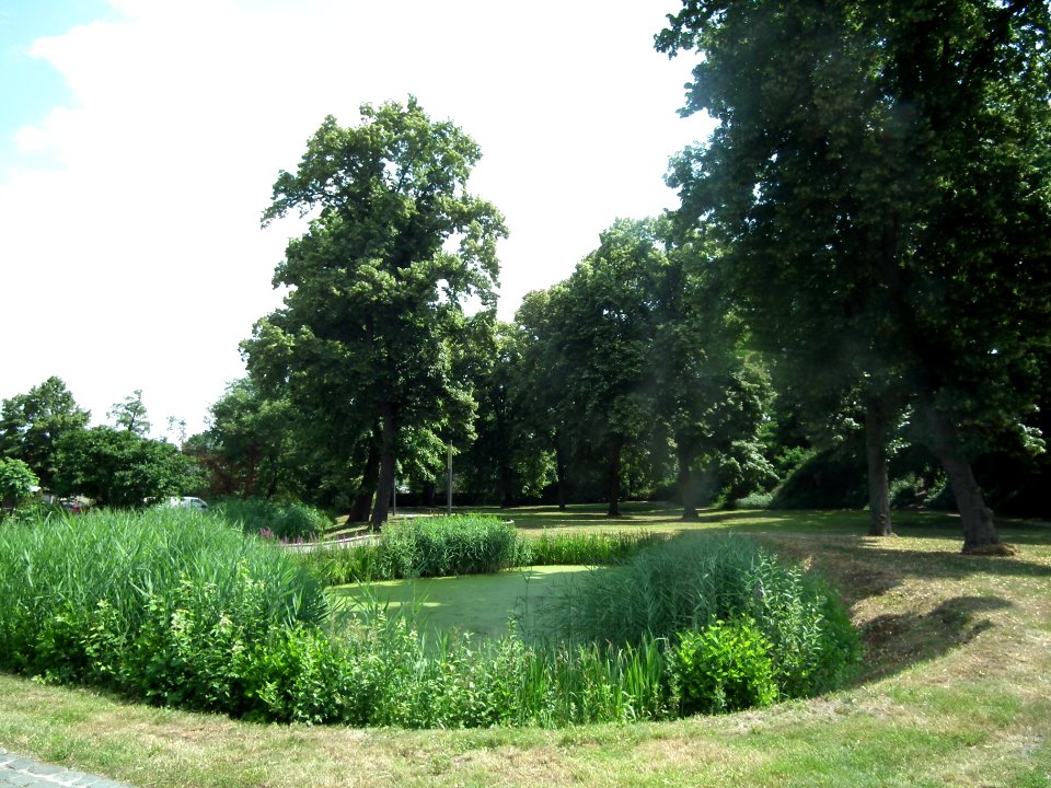 20190622 Senftenberg 007