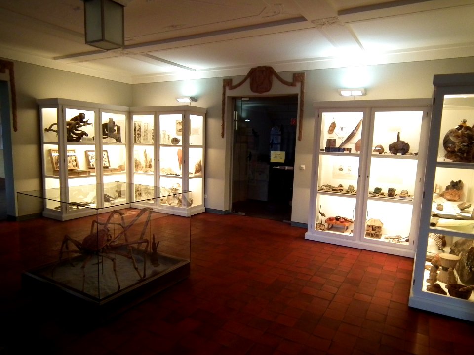 20151111 Altenburg Mauritianum 18