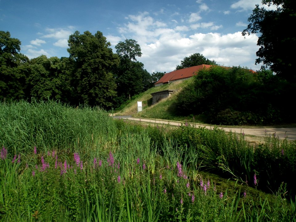 20190622 Senftenberg 103