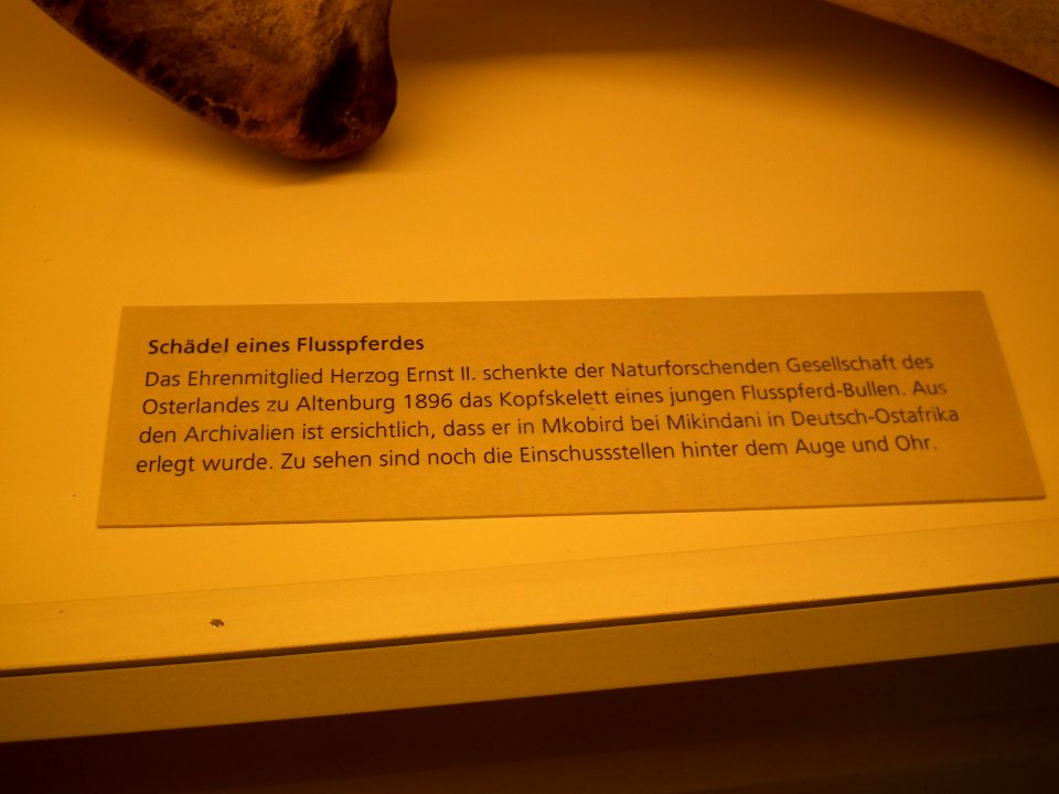 20151111 Altenburg Mauritianum 05
