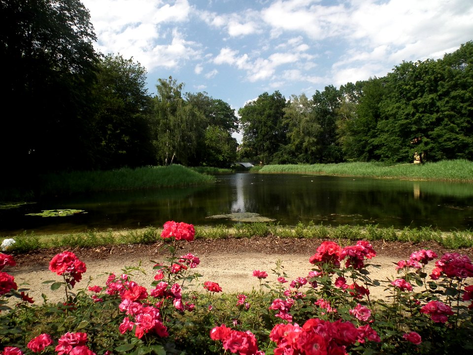 20190622 Senftenberg 080