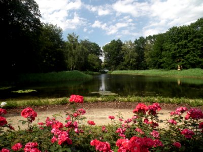 20190622 Senftenberg 080