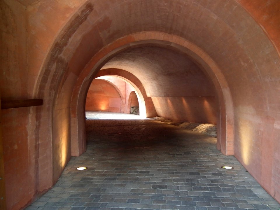 20190622 Senftenberg 004