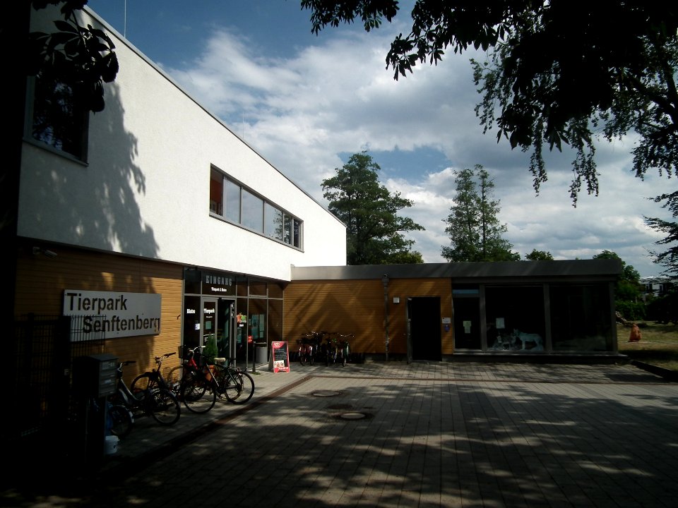 20190622 Senftenberg 083
