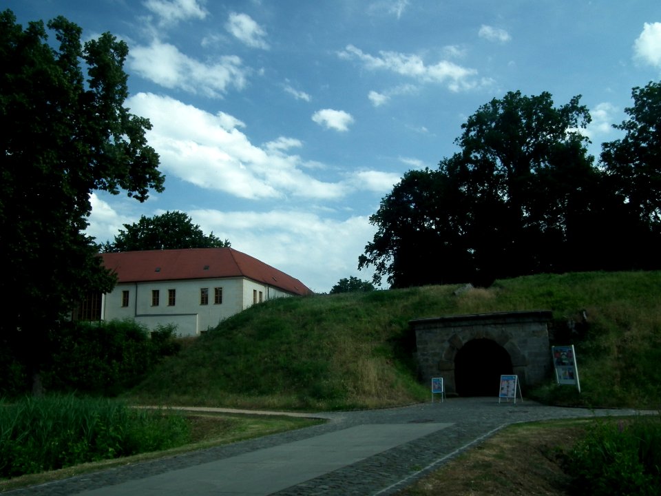 20190622 Senftenberg 101