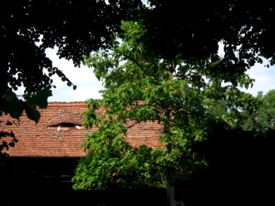 20190622 Senftenberg 095