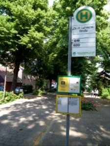 20190622 Senftenberg 096