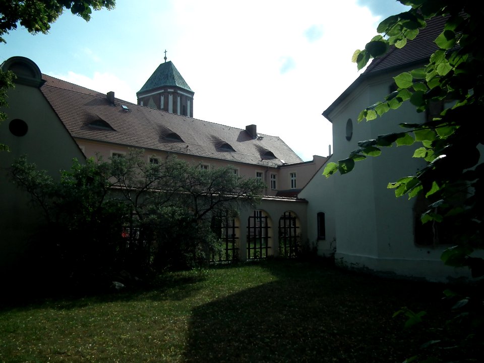 20190622 Senftenberg 131