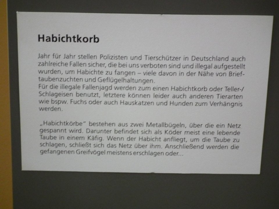 20151111 Altenburg Mauritianum 14