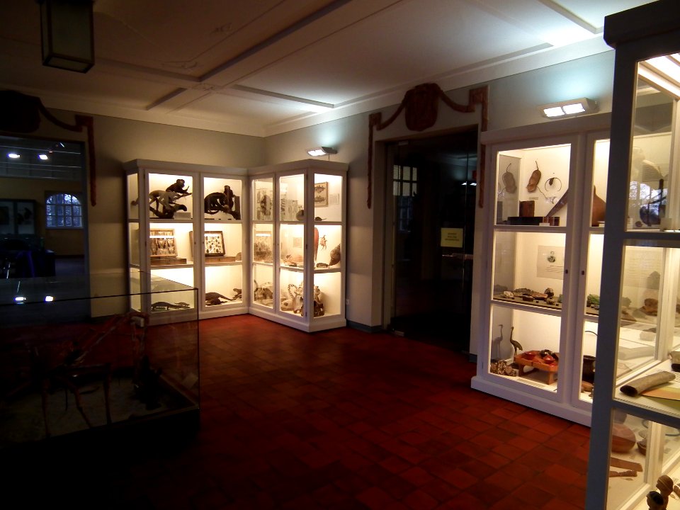 20151111 Altenburg Mauritianum 17