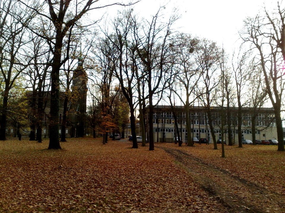 20151109 Pirna Sonnenstein 32