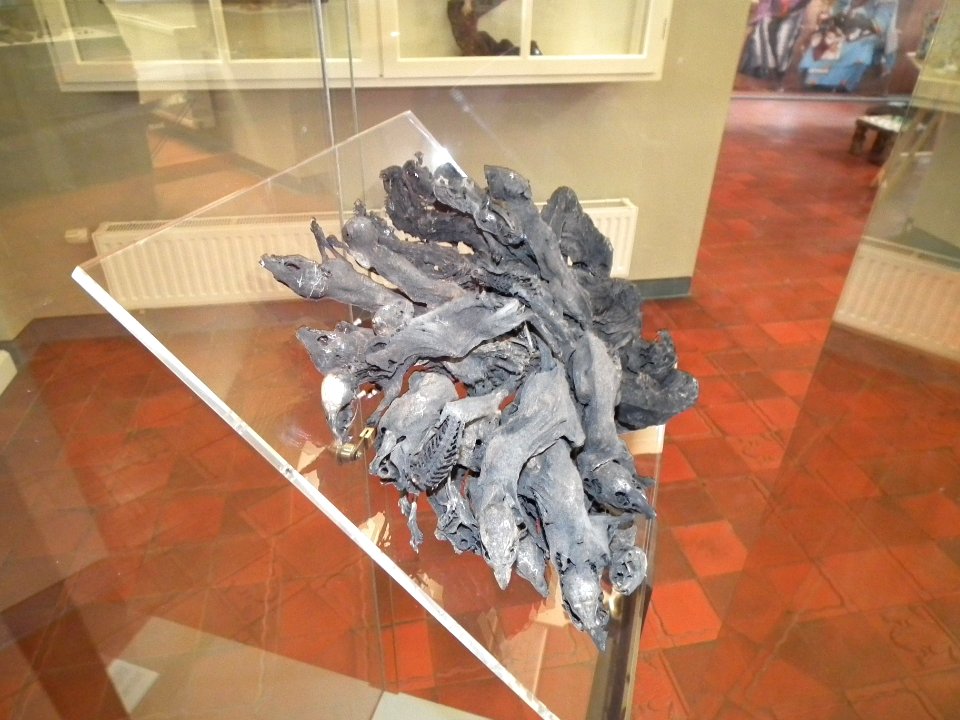 20151111 Altenburg Mauritianum 20