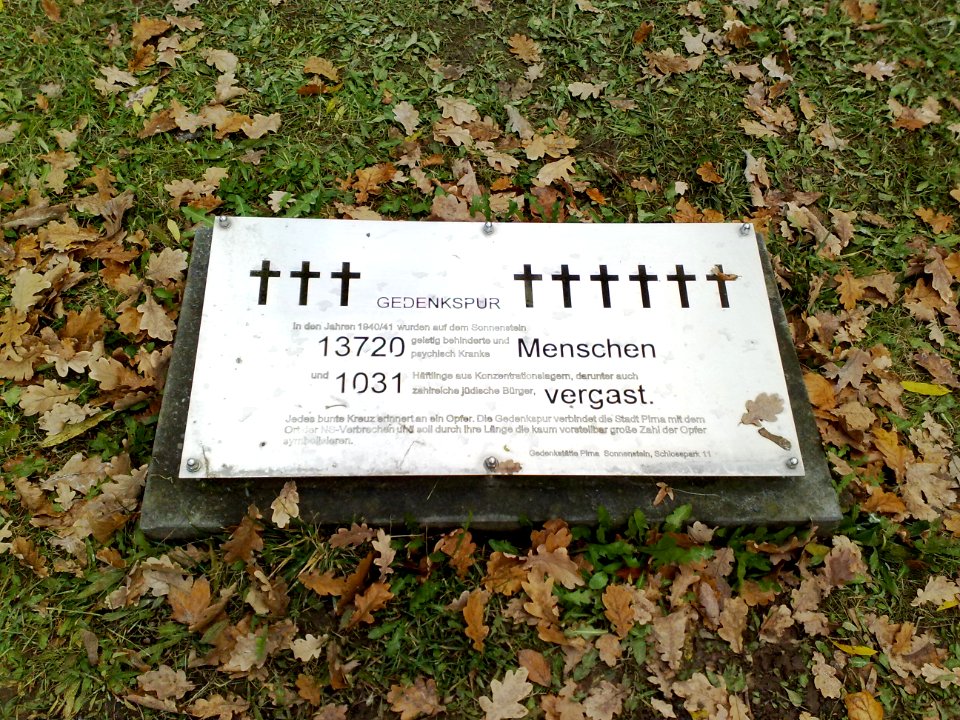 20151109 Pirna Sonnenstein 01