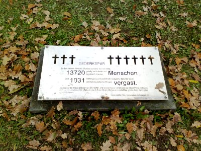 20151109 Pirna Sonnenstein 01