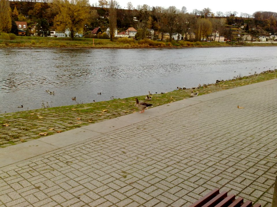 20151109 Pirna 02