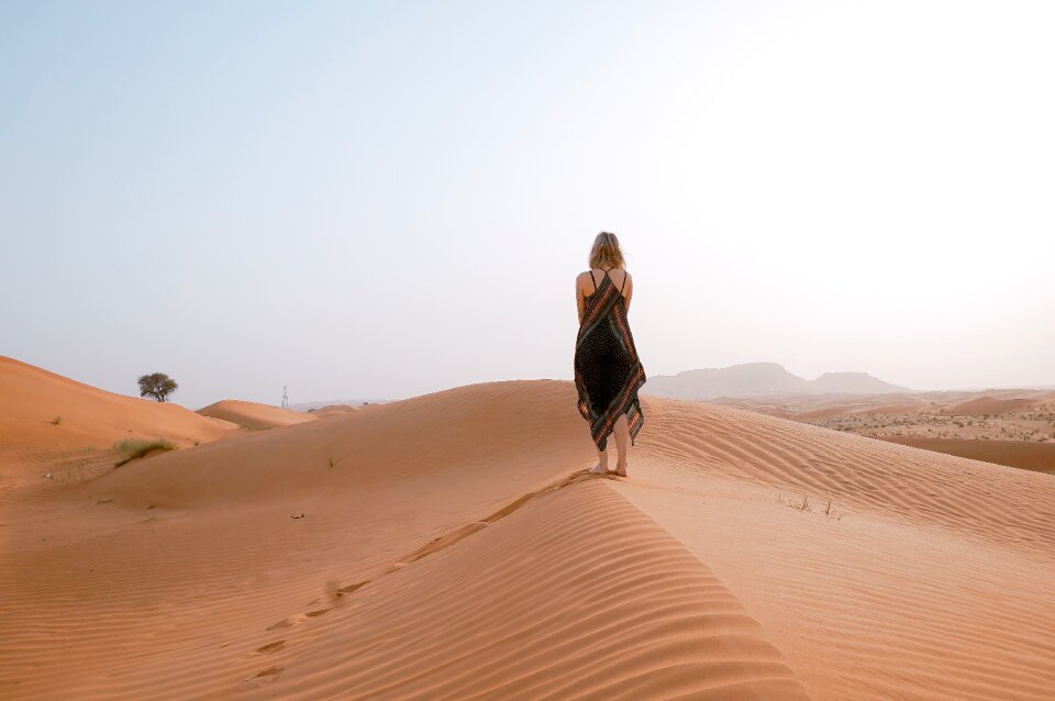 Alone desert highland