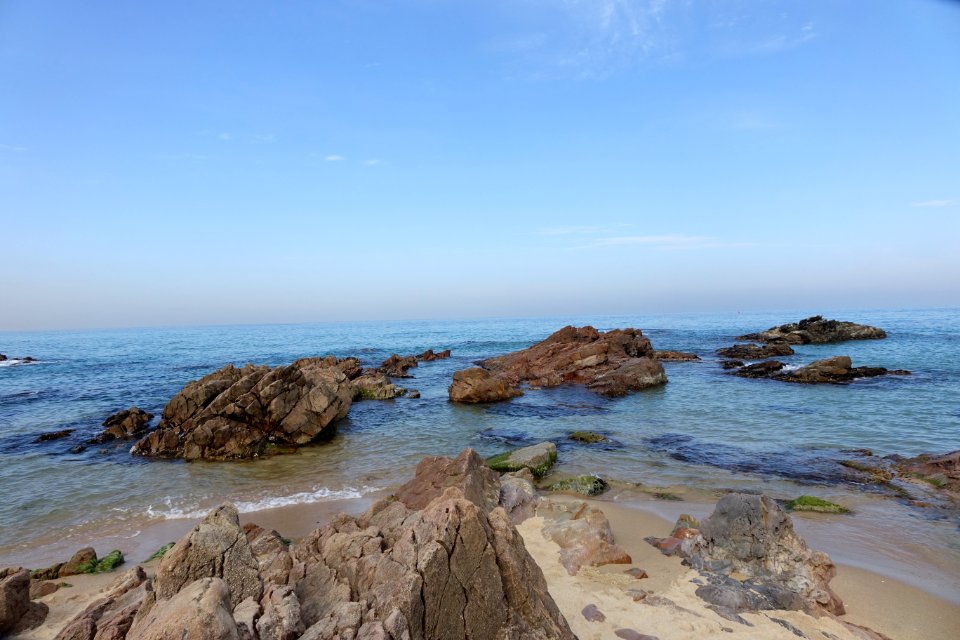 20151015 최광모 SONY DSC-RX10 DSC04364 20151024