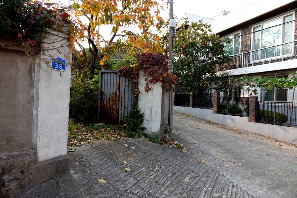 20151019 최광모 SONY DSC-RX10 DSC04422 20151024
