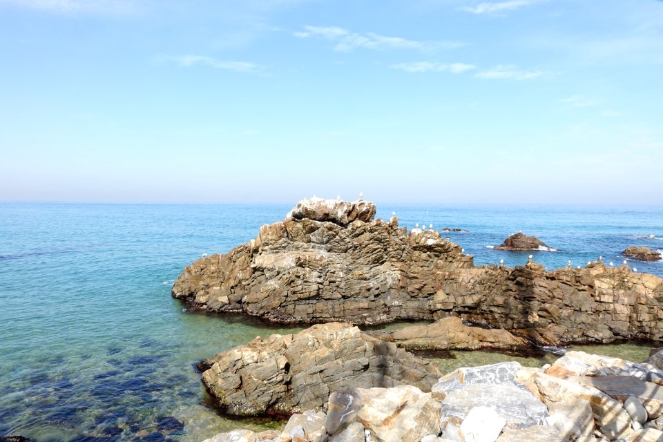20151015 최광모 SONY DSC-RX10 DSC04335 20151024