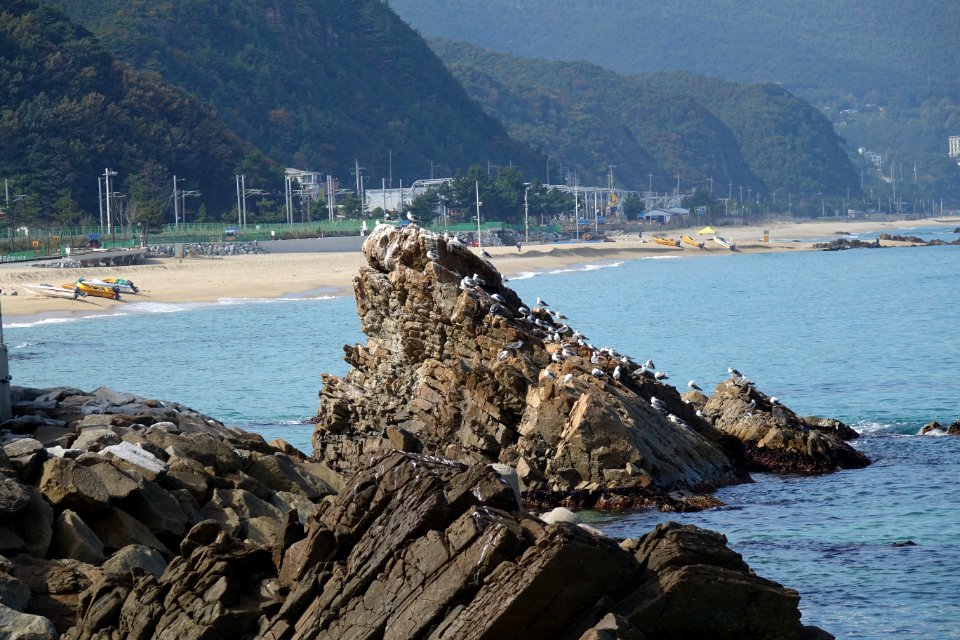 20151015 최광모 SONY DSC-RX10 DSC04344 20151024